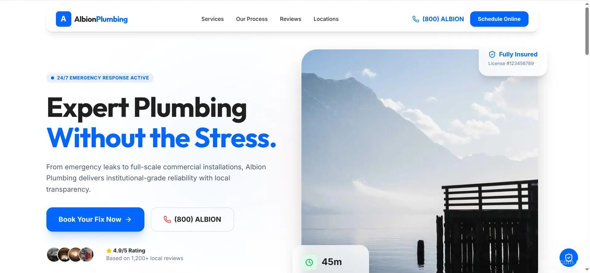 Albion Plumbing website homepage showing hero section and service overview